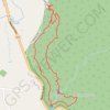 Tristania Falls - Crystal Shower Falls - Wonga Walk trail, distance, elevation, map, profile, GPS track