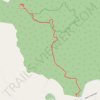 Mount Kandanga via Ryan's Creek Road trail, distance, elevation, map, profile, GPS track