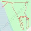 Discovery Park Loop Walk trail, distance, elevation, map, profile, GPS track